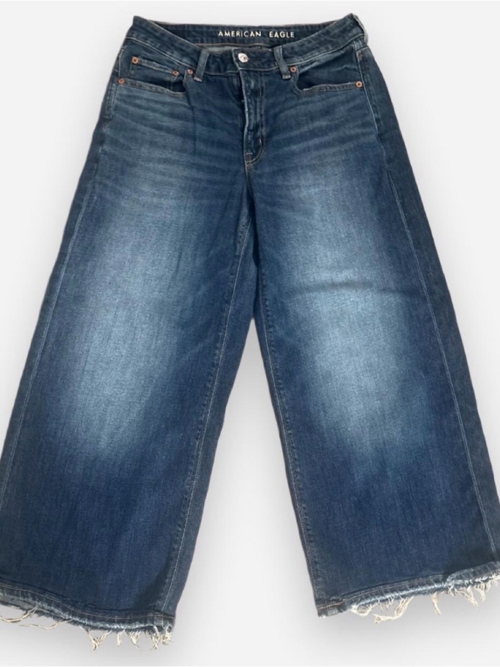American Eagle Low Rise Baggy Wide Leg Jeans size 2